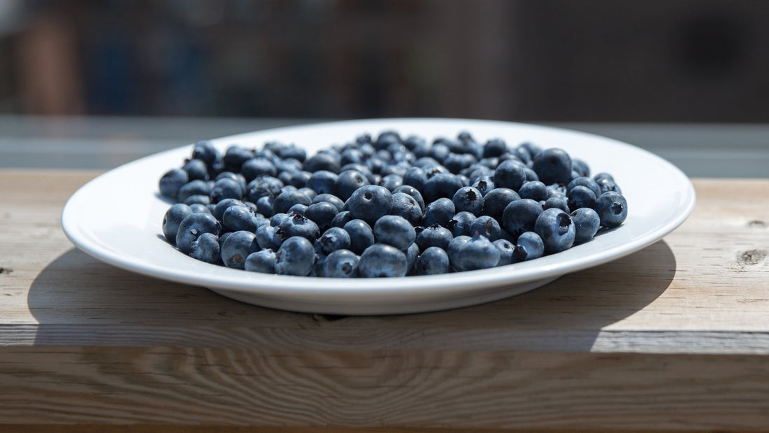 Free Radicals and Antioxidants: The Ultimate Guide - Yen MD