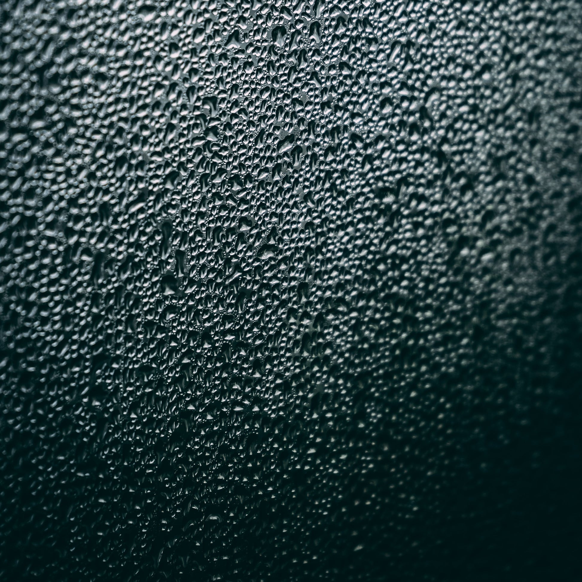 Yen MD | Lite Moisturizing Cream